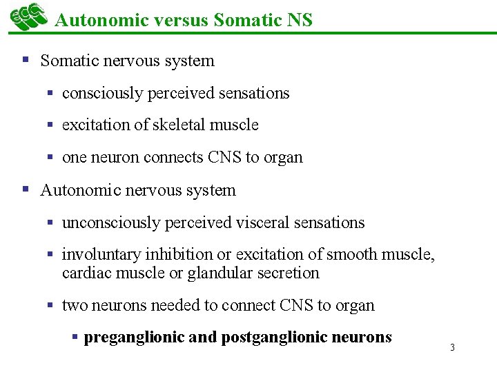 Autonomic versus Somatic NS § Somatic nervous system § consciously perceived sensations § excitation