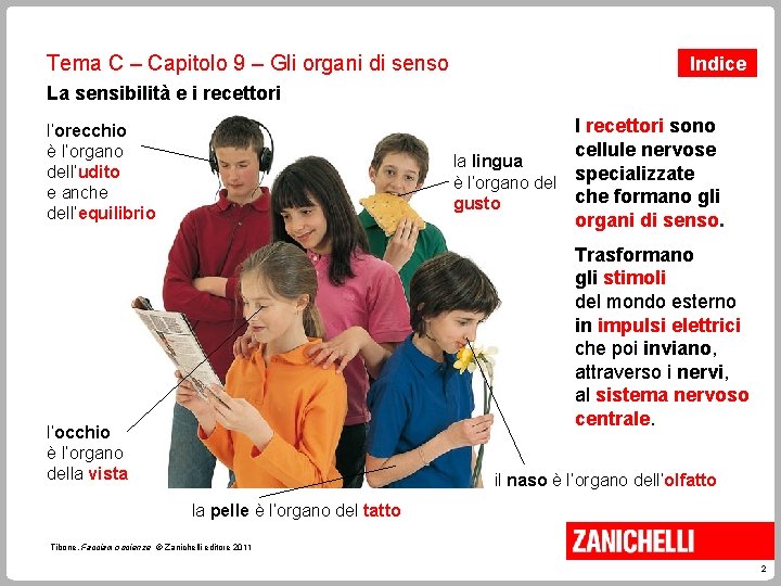 Tema C – Capitolo 9 – Gli organi di senso Indice La sensibilità e