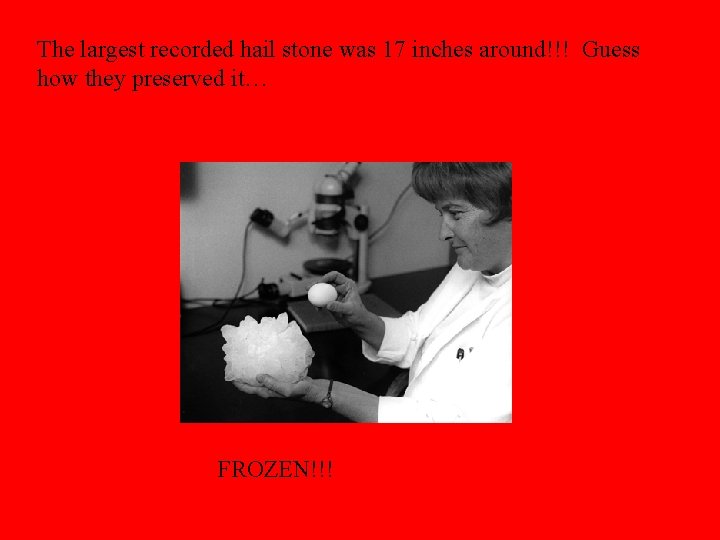 The largest recorded hail stone was 17 inches around!!! Guess how they preserved it…