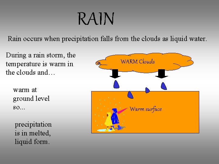 RAIN Rain occurs when precipitation falls from the clouds as liquid water. During a
