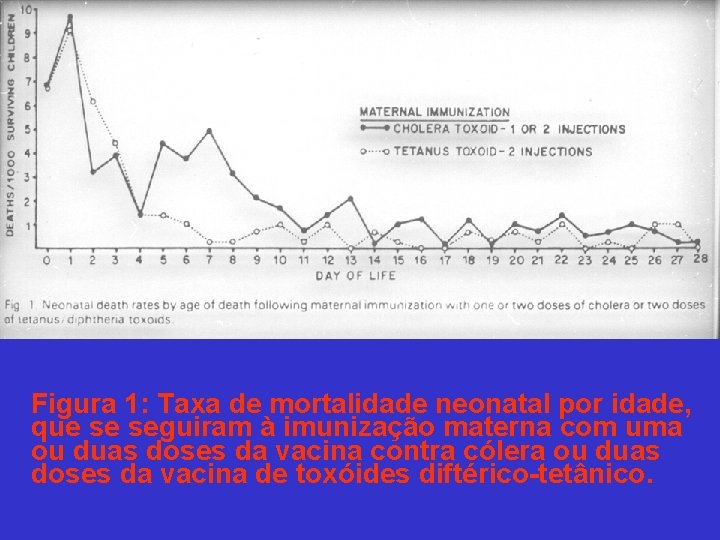 Figura 1: Taxa de mortalidade neonatal por idade, que se seguiram à imunização materna