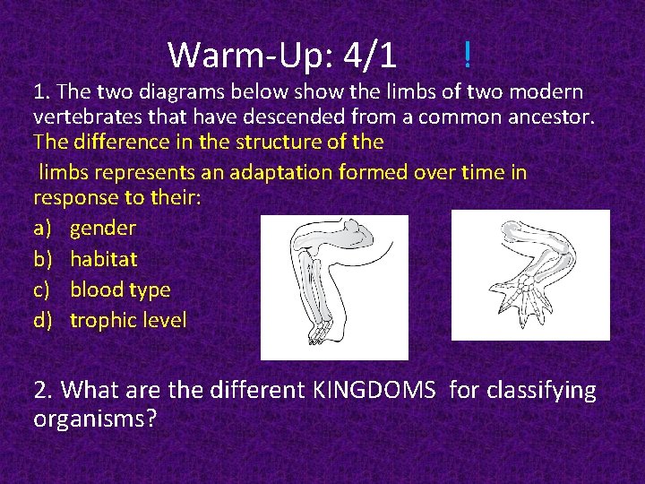 Warm-Up: 4/1 ! 1. The two diagrams below show the limbs of two modern