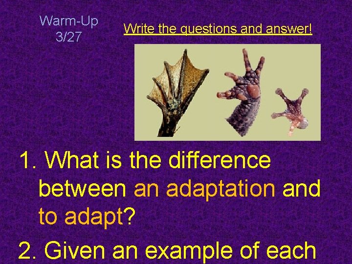 Warm-Up 3/27 Write the questions and answer! 1. What is the difference between an