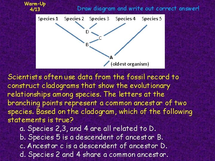 Warm-Up 4/13 Draw diagram and write out correct answer! Species 1 Species 2 Species