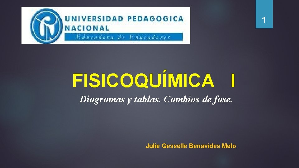 1 FISICOQUÍMICA I Diagramas y tablas. Cambios de fase. Julie Gesselle Benavides Melo 