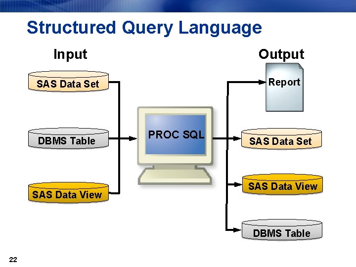 Structured Query Language Input Output Report SAS Data Set DBMS Table SAS Data View