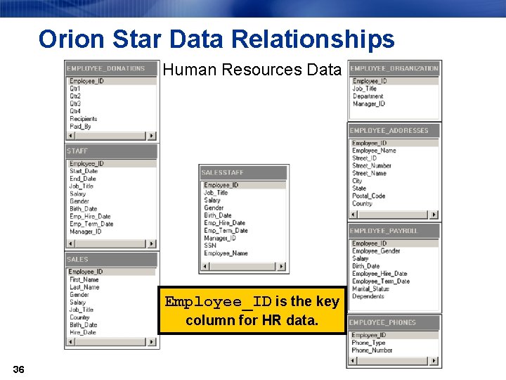 Orion Star Data Relationships Human Resources Data Employee_ID is the key column for HR