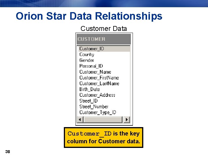 Orion Star Data Relationships Customer Data Customer_ID is the key column for Customer data.