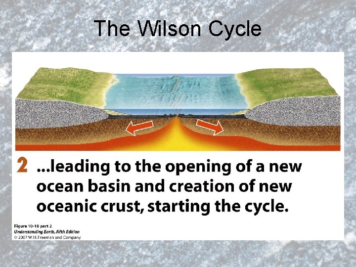 The Wilson Cycle 