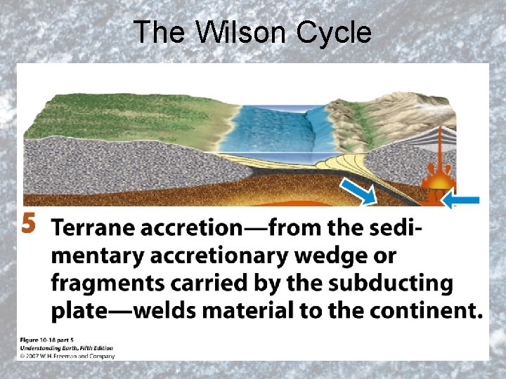 The Wilson Cycle 