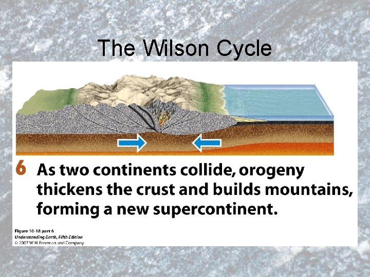 The Wilson Cycle 