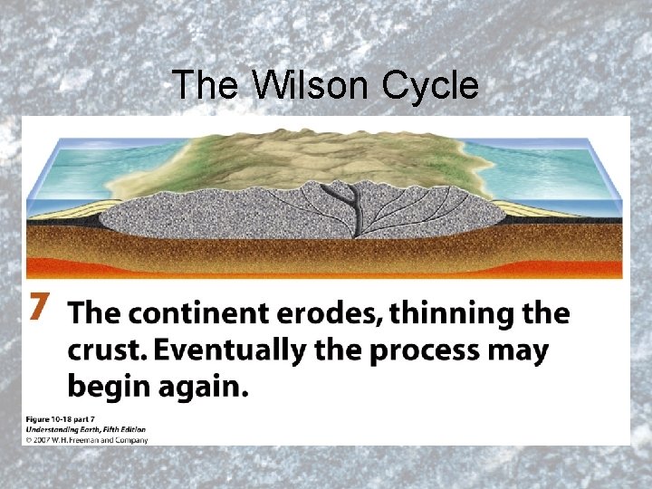 The Wilson Cycle 