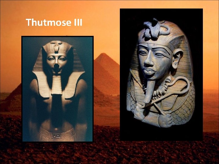 Thutmose III 