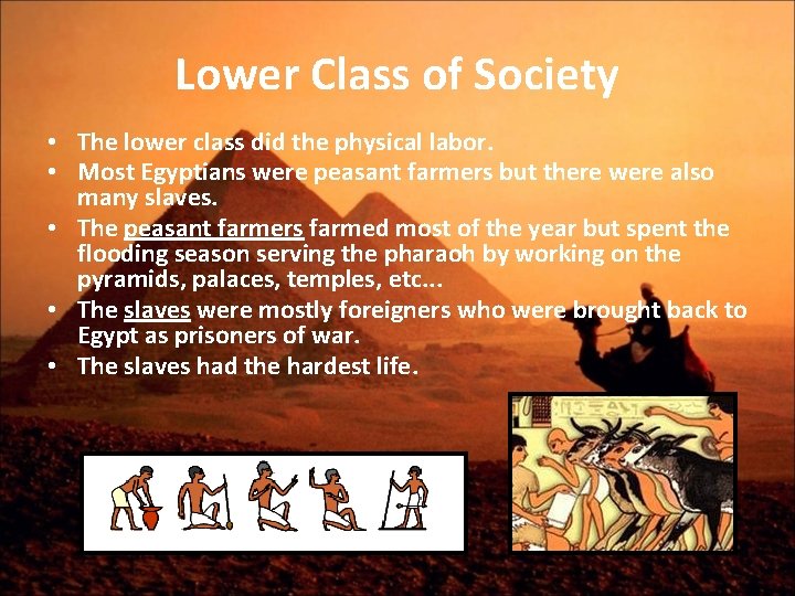Lower Class of Society • The lower class did the physical labor. • Most