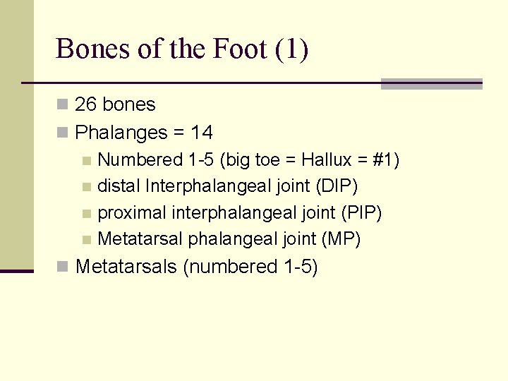 Bones of the Foot (1) n 26 bones n Phalanges = 14 n Numbered