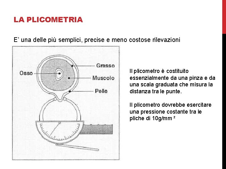 LA PLICOMETRIA E’ una delle più semplici, precise e meno costose rilevazioni Il plicometro