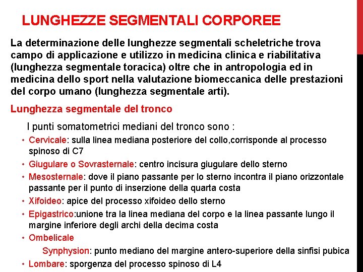 LUNGHEZZE SEGMENTALI CORPOREE La determinazione delle lunghezze segmentali scheletriche trova campo di applicazione e