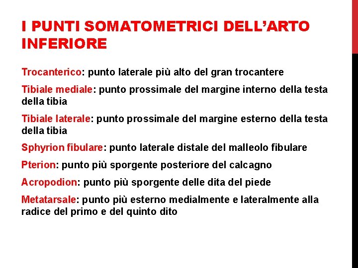 I PUNTI SOMATOMETRICI DELL’ARTO INFERIORE Trocanterico: punto laterale più alto del gran trocantere Tibiale