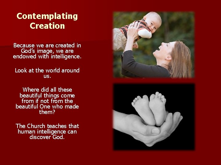 Contemplating Creation Because we are created in God’s image, we are endowed with intelligence.