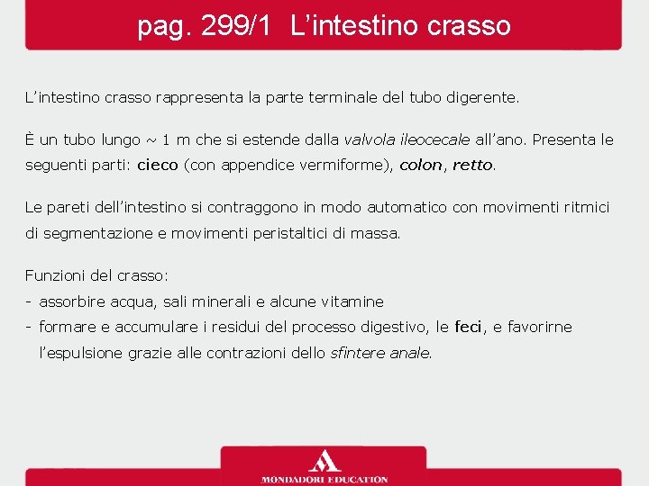 pag. 299/1 L’intestino crasso rappresenta la parte terminale del tubo digerente. È un tubo