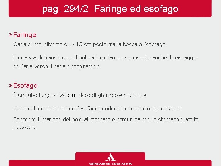 pag. 294/2 Faringe ed esofago » Faringe Canale imbutiforme di ~ 15 cm posto