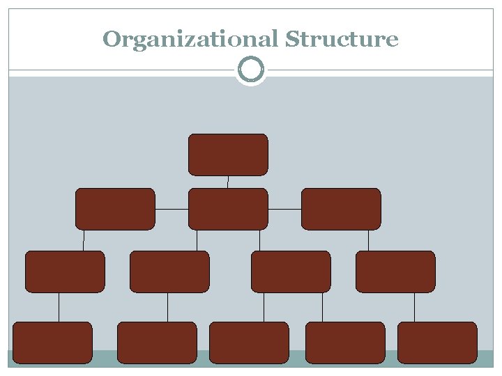 Organizational Structure 