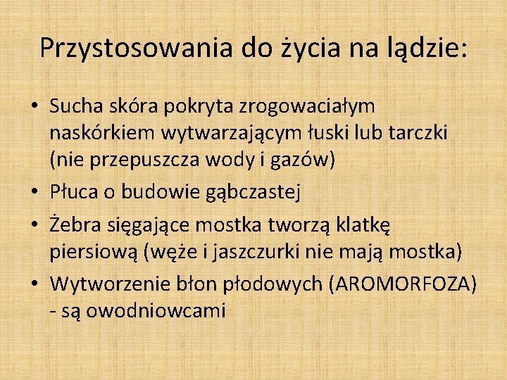 Przystosowania do życia na lądzie: • Sucha skóra pokryta zrogowaciałym naskórkiem wytwarzającym łuski lub