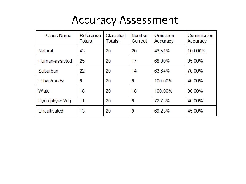 Accuracy Assessment 