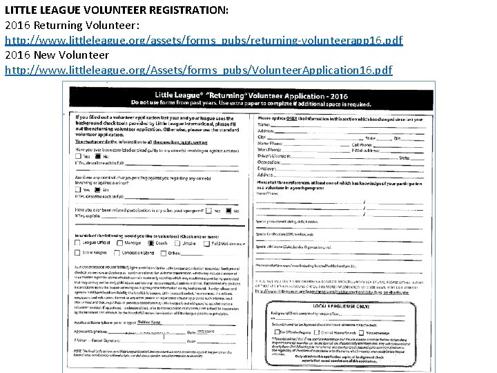 LITTLE LEAGUE VOLUNTEER REGISTRATION: 2016 Returning Volunteer: http: //www. littleleague. org/assets/forms_pubs/returning-volunteerapp 16. pdf 2016