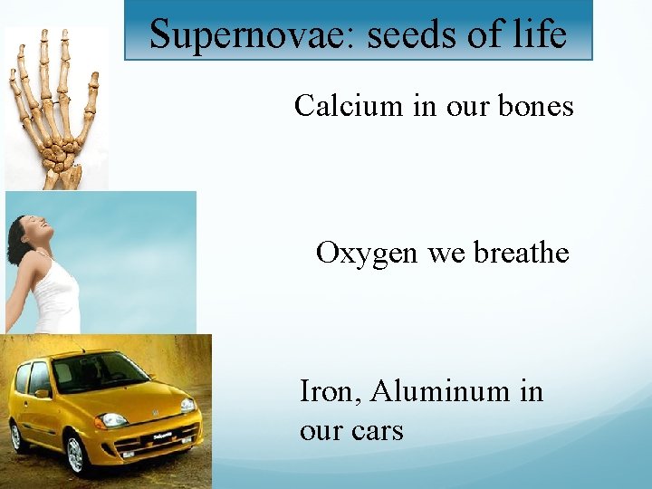 Supernovae: seeds of life Calcium in our bones Oxygen we breathe Iron, Aluminum in