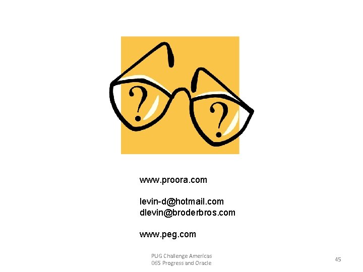Questions www. proora. com levin-d@hotmail. com dlevin@broderbros. com www. peg. com PUG Challenge Americas