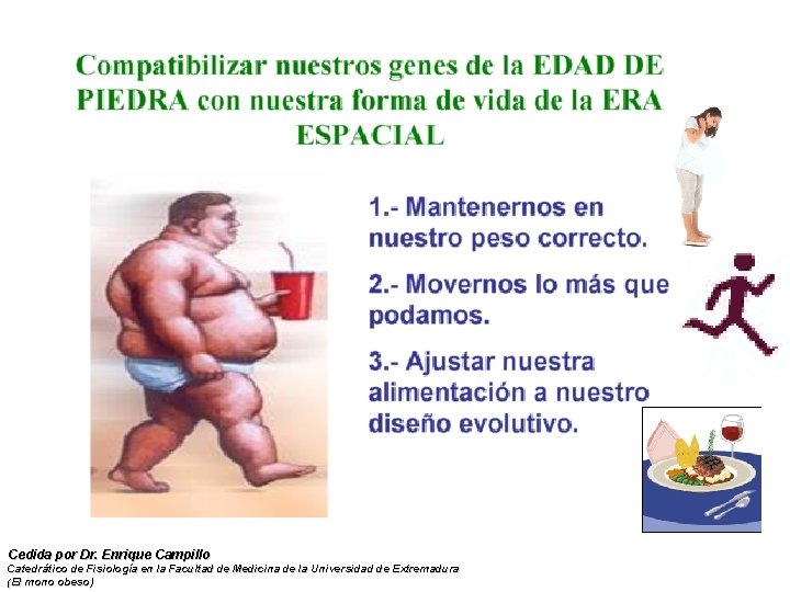 Cedida por Dr. Enrique Campillo Catedrático de Fisiología en la Facultad de Medicina de