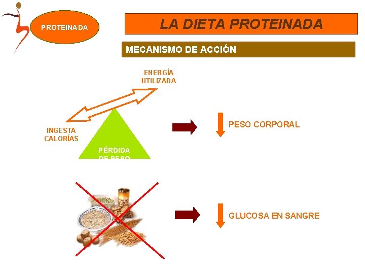 LA DIETA PROTEINADA MECANISMO DE ACCIÓN ENERGÍA UTILIZADA PESO CORPORAL INGESTA CALORÍAS PÉRDIDA DE