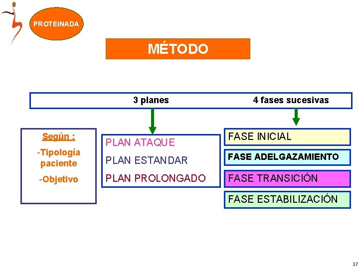 PROTEINADA MÉTODO 3 planes Según : -Tipología paciente -Objetivo PLAN ATAQUE 4 fases sucesivas