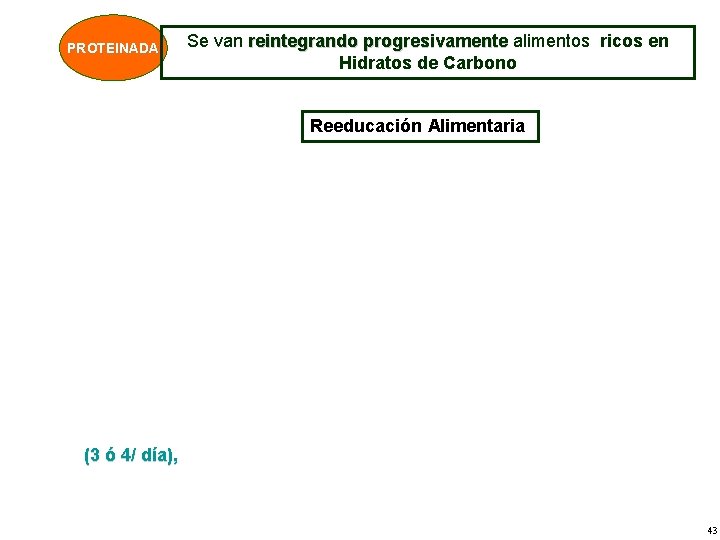PROTEINADA Se van reintegrando progresivamente alimentos ricos en Hidratos de Carbono Reeducación Alimentaria (3