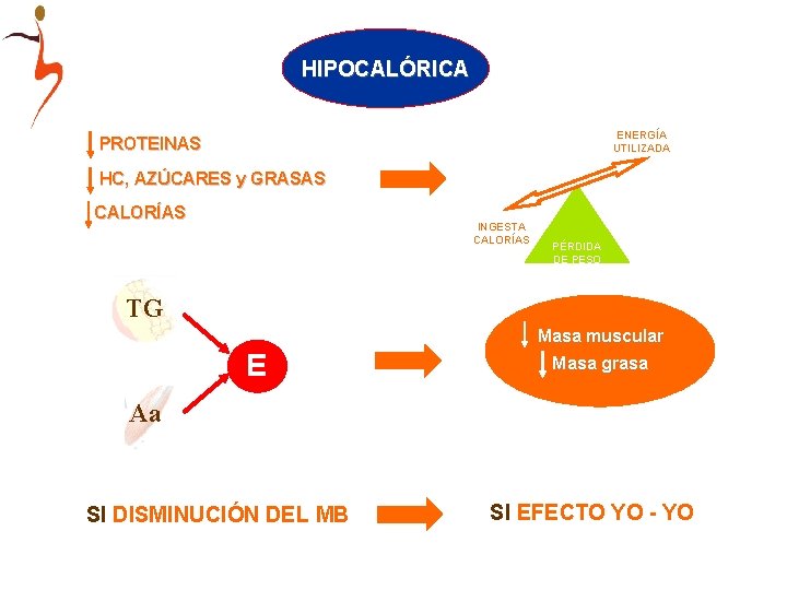 HIPOCALÓRICA ENERGÍA UTILIZADA PROTEINAS HC, AZÚCARES y GRASAS CALORÍAS INGESTA CALORÍAS PÉRDIDA DE PESO