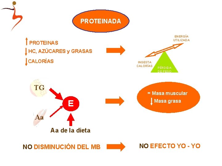 PROTEINADA ENERGÍA UTILIZADA PROTEINAS HC, AZÚCARES y GRASAS CALORÍAS INGESTA CALORÍAS TG PÉRDIDA DE