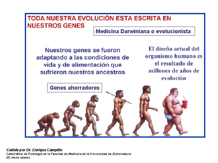 Medicina Darwiniana o evolucionista Genes ahorradores Cedida por Dr. Enrique Campillo Catedrático de Fisiología