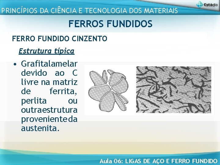 PRINCÍPIOS DA CIÊNCIA E TECNOLOGIA DOS MATERIAIS FERROS FUNDIDOS FERRO FUNDIDO CINZENTO Estrutura típica