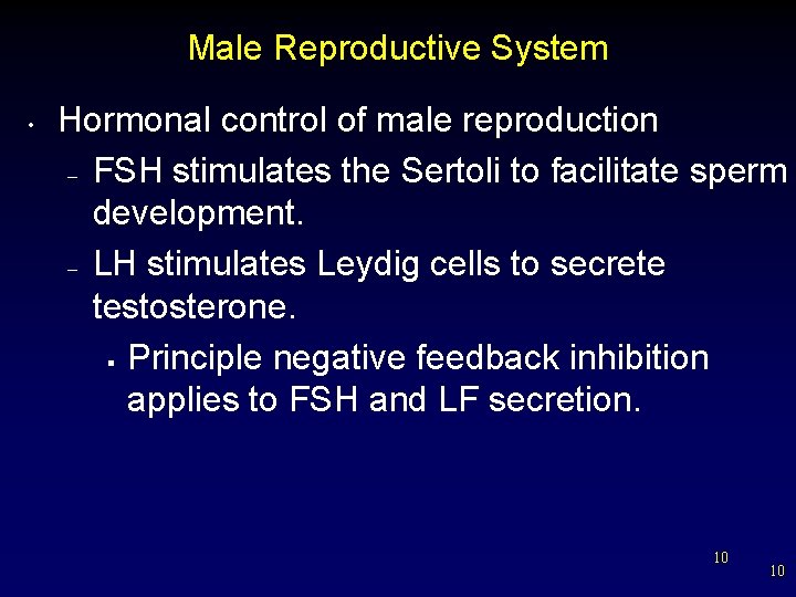 Male Reproductive System • Hormonal control of male reproduction – FSH stimulates the Sertoli