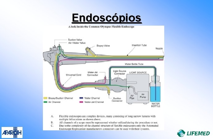 Endoscópios 