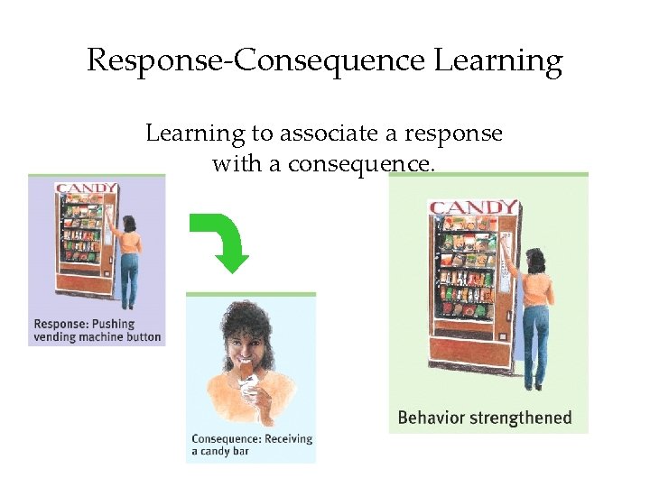 Response-Consequence Learning to associate a response with a consequence. 