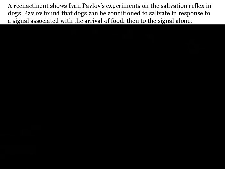 A reenactment shows Ivan Pavlov's experiments on the salivation reflex in dogs. Pavlov found