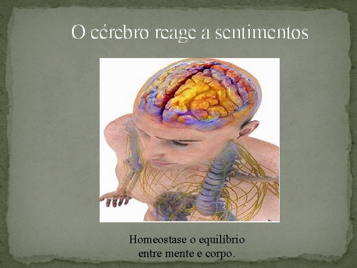 O cérebro reage a sentimentos Homeostase o equilíbrio entre mente e corpo. 