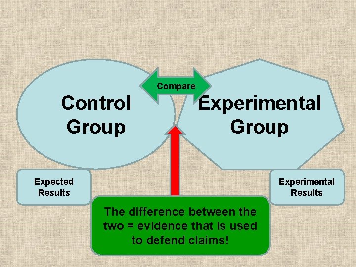 Compare Control Group Experimental Group Expected Results Experimental Results The difference between the two