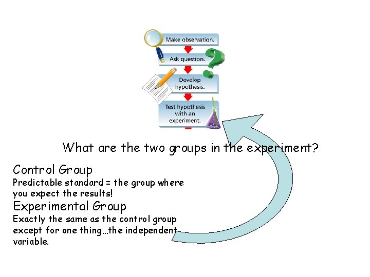 What are the two groups in the experiment? Control Group Predictable standard = the