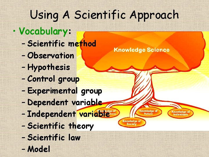 Using A Scientific Approach • Vocabulary: – Scientific method – Observation – Hypothesis –