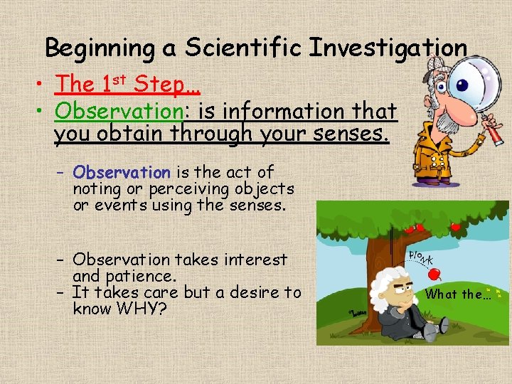 Beginning a Scientific Investigation • The 1 st Step… • Observation: is information that