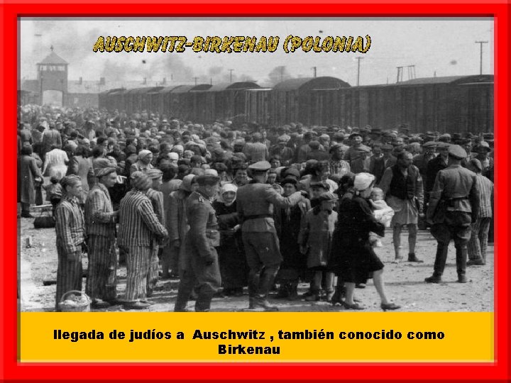 llegada de judíos a Auschwitz , también conocido como Birkenau 