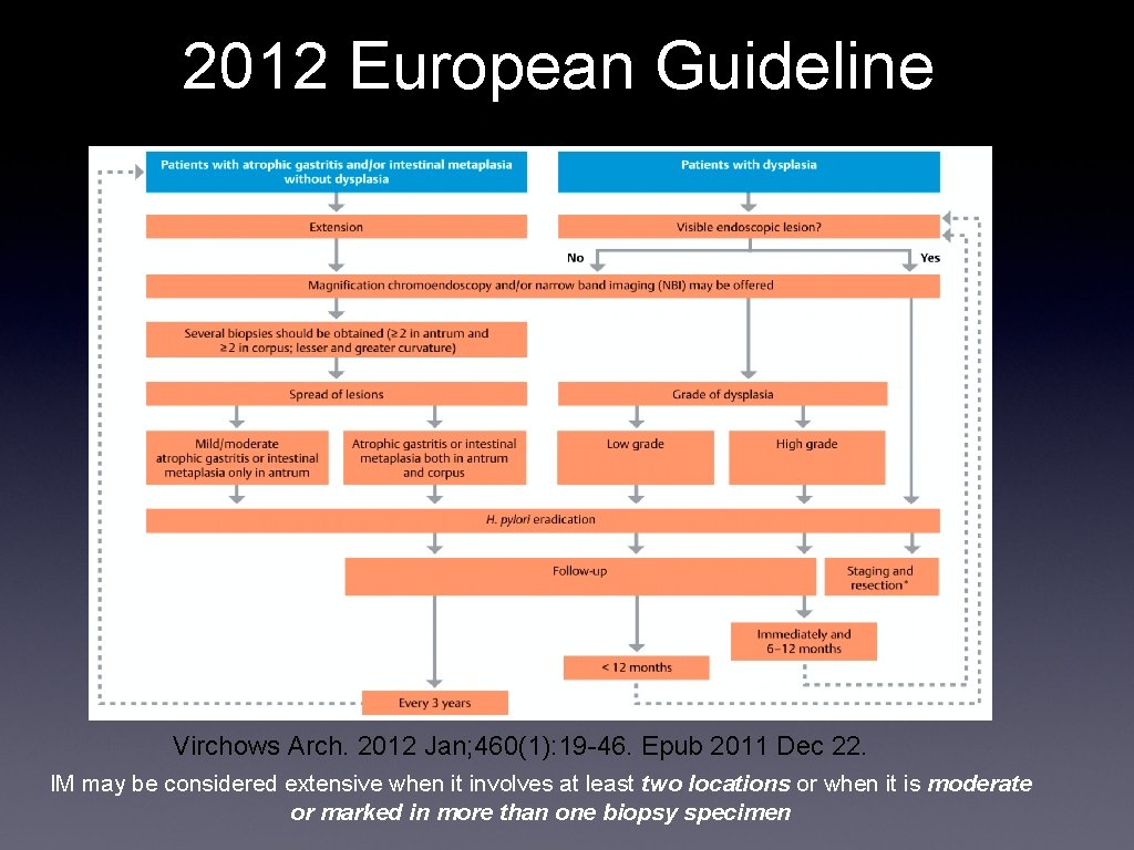 2012 European Guideline Virchows Arch. 2012 Jan; 460(1): 19 -46. Epub 2011 Dec 22.